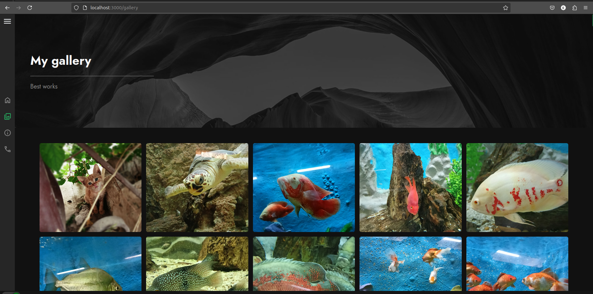 Gallery page with dynamic image loading in dev mode